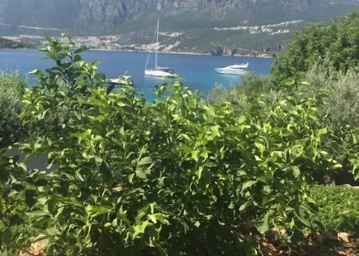 La Moda Готель *