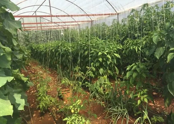 מלון La Moda קס